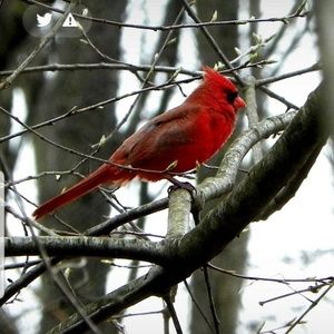 Meet your Posher, Allyson